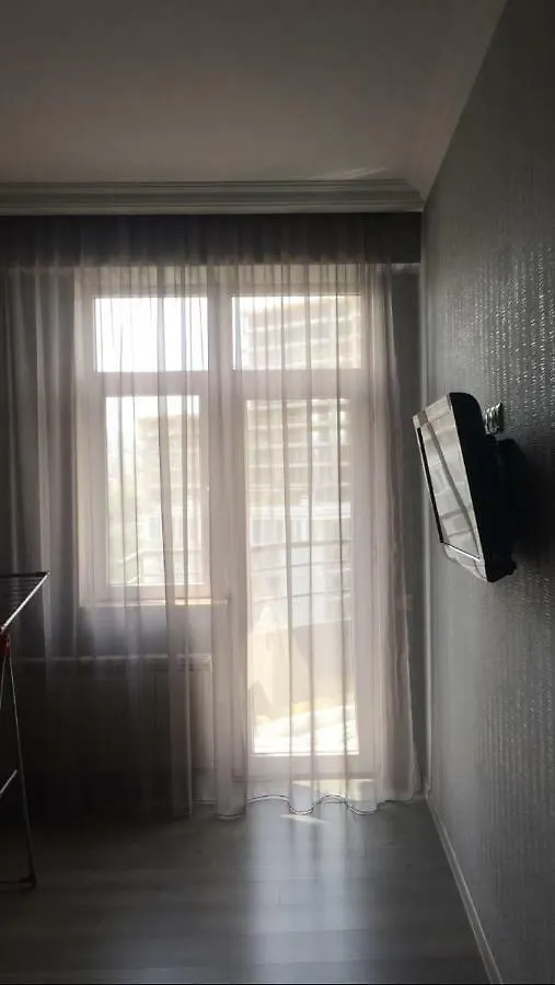 David Apartment Tbilisi 0*,
